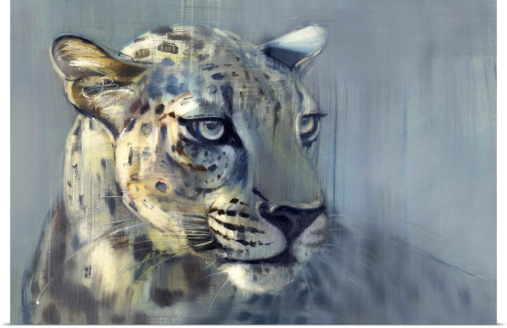 Contemporary wildlife portrait of an Arabian Leopard.