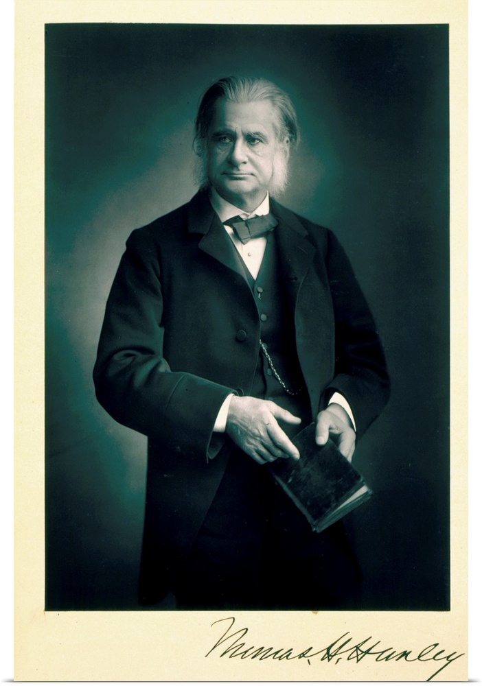 Professor Thomas H. Huxley (1825-95), biologist, portrait photograph