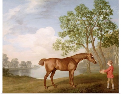 Pumpkin with a Stable-Lad, 1774