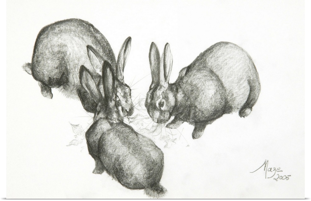 Rabbits, 2005