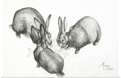 Rabbits, 2005