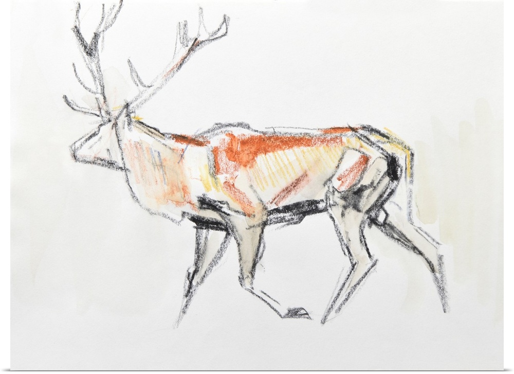 Red Deer Stag, 2020