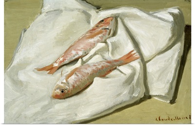 Red Mullet, 1870