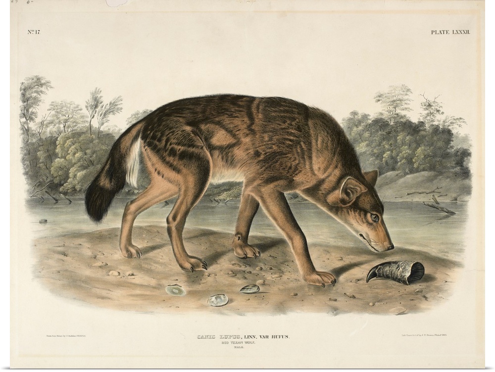 Originally a hand-colored lithograph