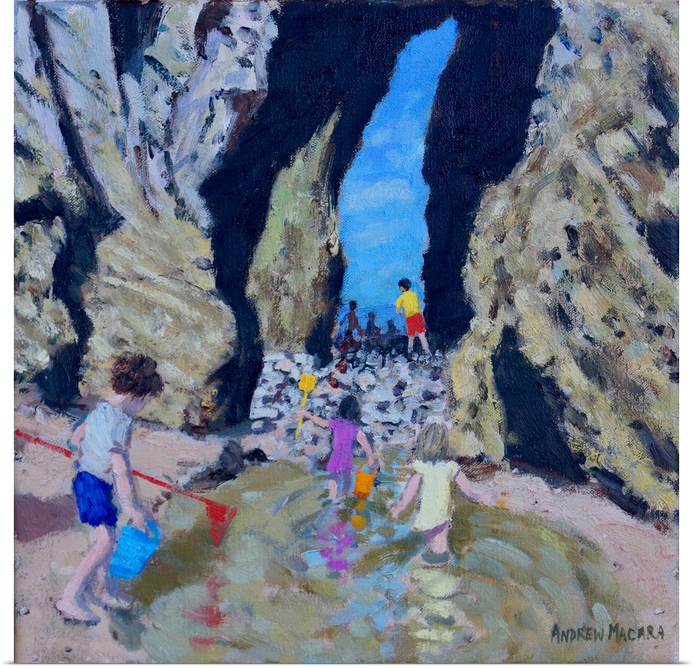 Rock Pool, Tenby, 2017, (oil on canvas) by Macara, Andrew