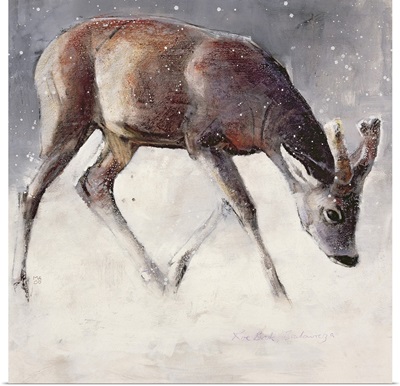 Roe Buck, Winter, 2000
