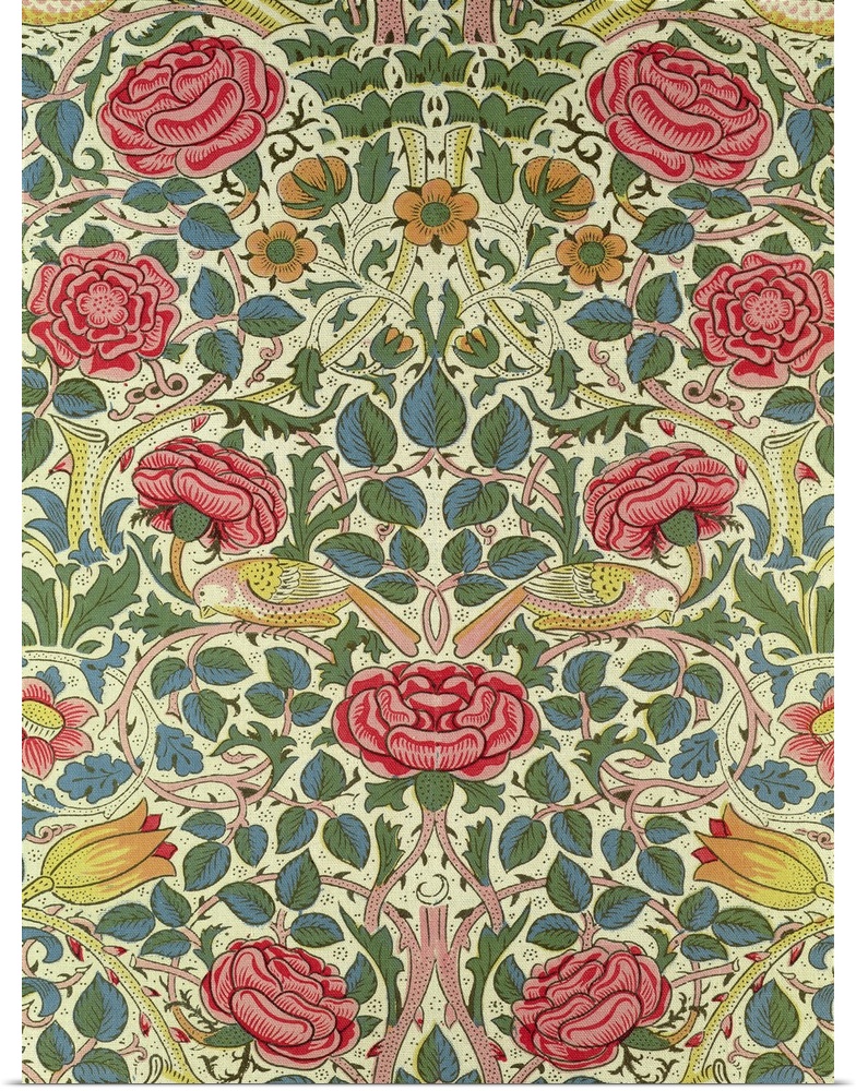 Rose, 1883