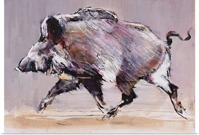 Running Boar, 1999