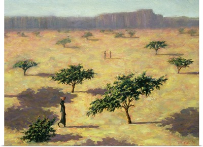Sahelian Landscape, Mali, 1991