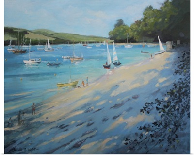 Salcombe Fishermans Cove, Blue And White Sail