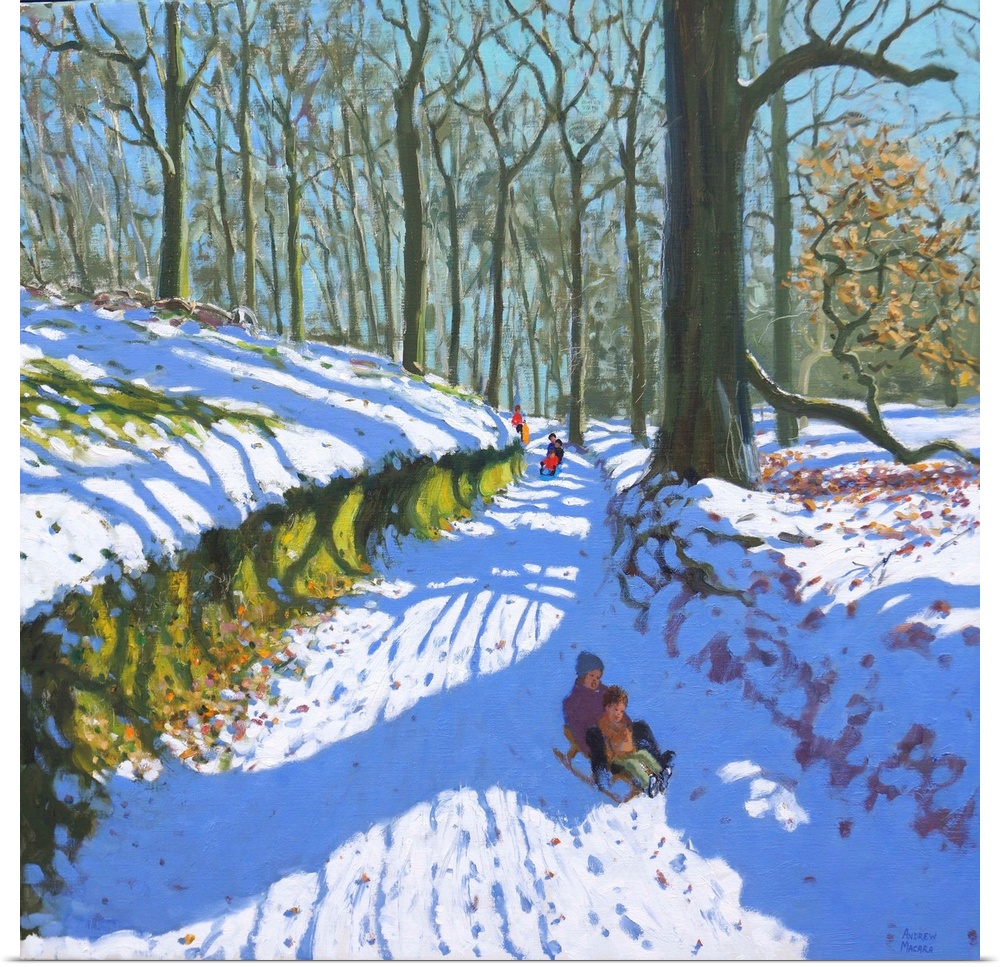 Sledging through the woods, Osmaston Park, Derby, 2018, (originally oil on canvas) by Macara, Andrew