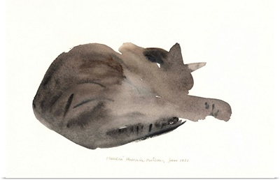 Sleeping Cat, 1985