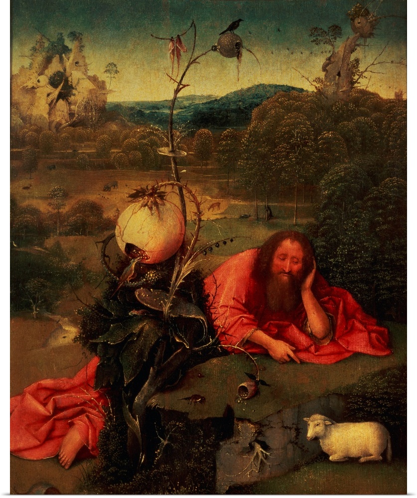XIR443 St. John the Baptist in Meditation (oil on panel); by Bosch, Hieronymus (c.1450-1516); Museo Lazaro Galdiano, Madri...