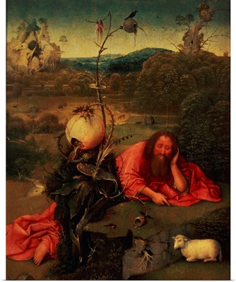 St. John the Baptist in Meditation