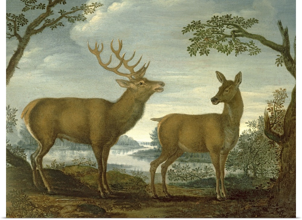 BAL77040 Stag and hind in a wooded landscape (panel)  by German School, (18th century); oil on panel; 27x36.5 cm; Johnny v...