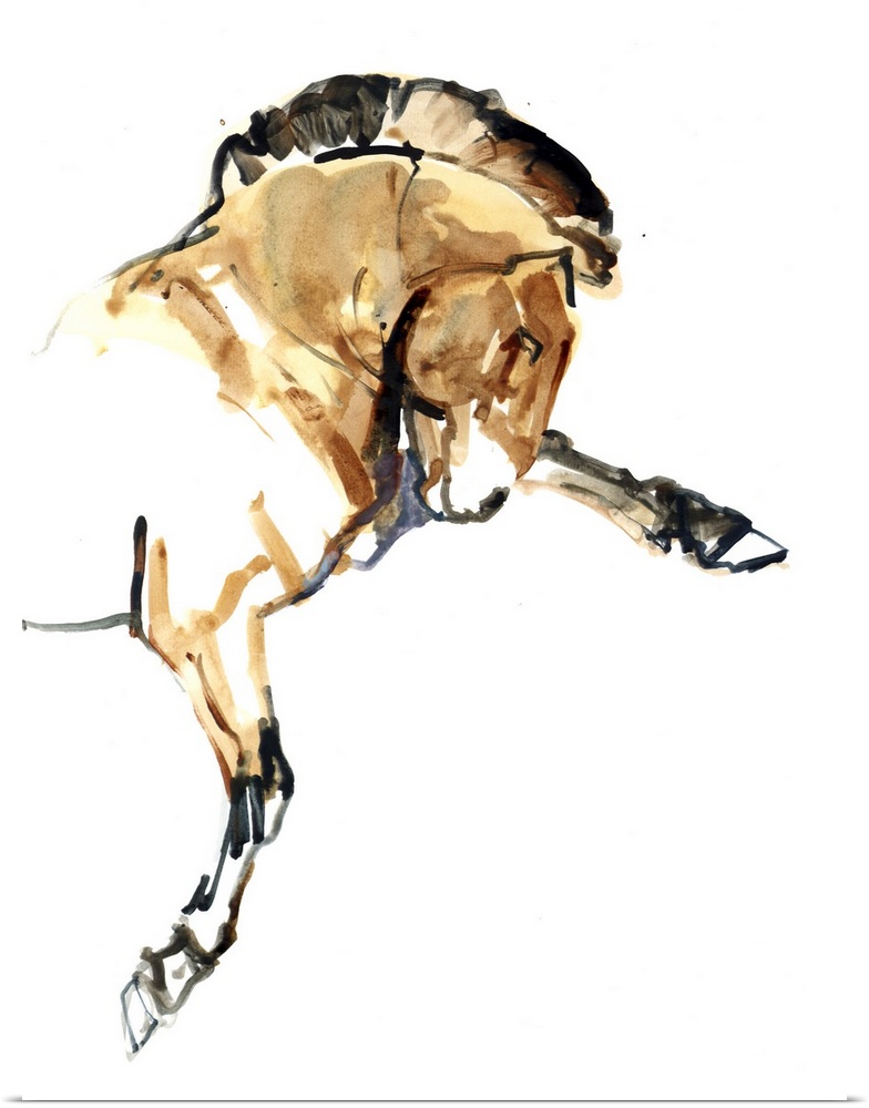 Contemporary artwork of a Mongolian Przewalski horse rearing up against a white background.