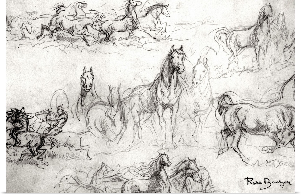 XIR154679 Study of Horses (pencil on paper) (b/w photo) by Bonheur, Rosa (1822-99); Louvre, Paris, France; Giraudon; French