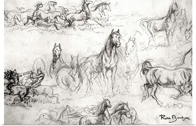 Study of Horses
