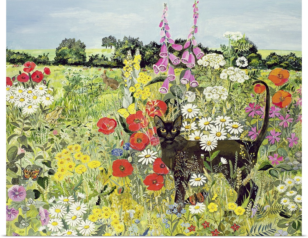 This large drawing shows a black cat standing in a large field that is covered with several types of flowers.