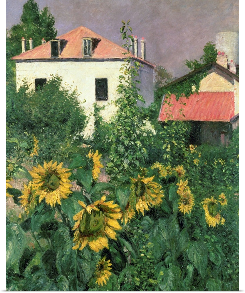 BRM159280 Sunflowers in the Garden at Petit Gennevilliers (oil on canvas) by Caillebotte, Gustave (1848-94); Private Colle...