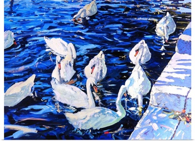 Swans, 2000