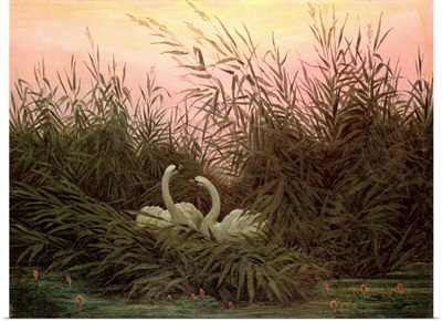 Swans in the Reeds, c.1820
