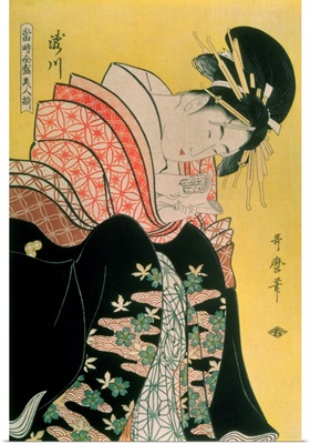 Takigawa from the Tea-House, Ogi