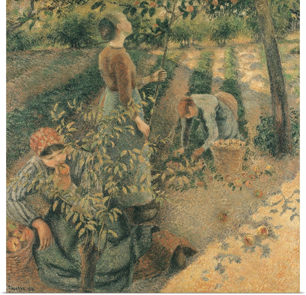 XIR111372 The Apple Pickers, 1886 (oil on canvas)  by Pissarro, Camille (1831-1903); 128x128 cm; Ohara Museum of Art, Kura...