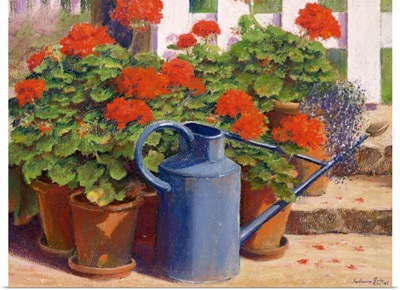 The blue watering can, 1995