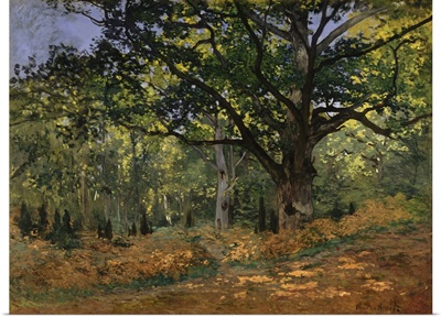 The Bodmer Oak, Fontainebleau Forest, 1865