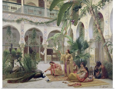 The Court of the Harem