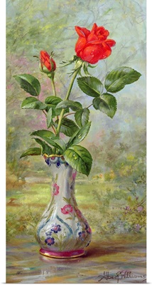 The Crimson Rose, a Messenger of Love