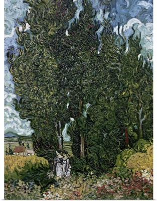 The cypresses, c.1889 90