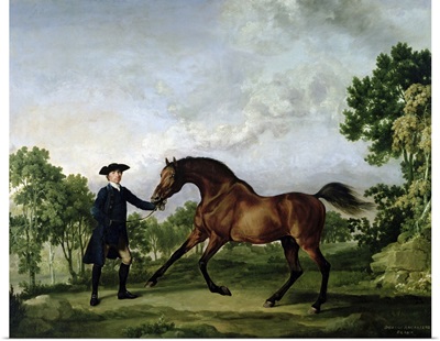 The Duke of Ancasters bay stallion Blank, held by a groom, c.1762 5