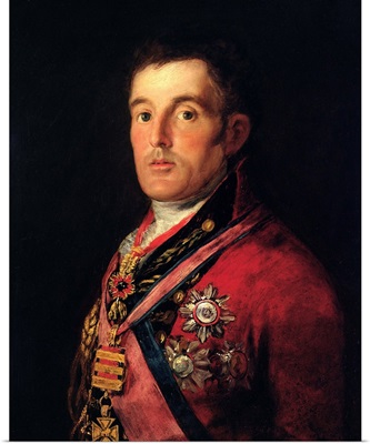 The Duke of Wellington (1769-1852) 1812-14