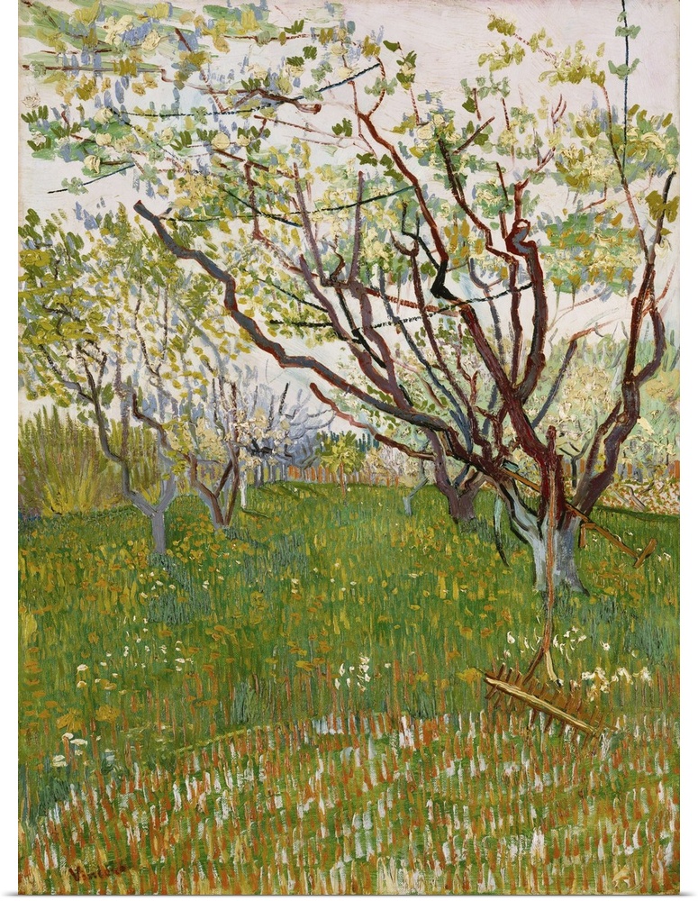 The Flowering Orchard, 1888