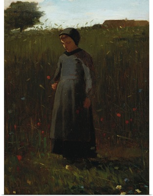 The Flowers Of The Field