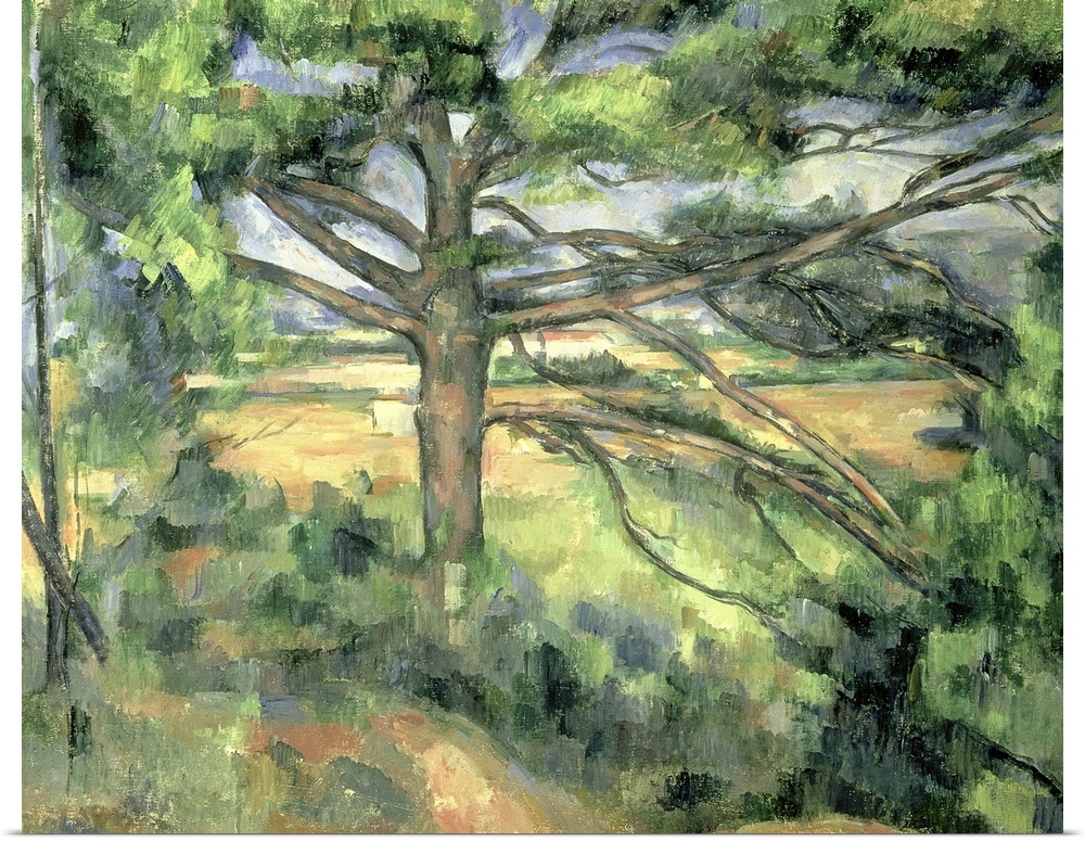 The Large Pine, 1895-97 (oil on canvas)  by Cezanne, Paul (1839-1906); Hermitage, St. Petersburg, Russia; French, out of c...