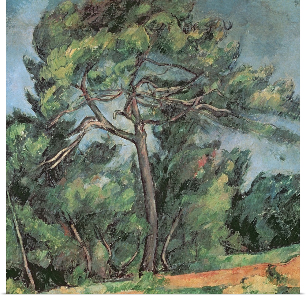 XIR190223 The Large Pine, c.1889 (oil on canvas)  by Cezanne, Paul (1839-1906); 85x92 cm; Museu de Arte, Sao Paulo, Brazil...
