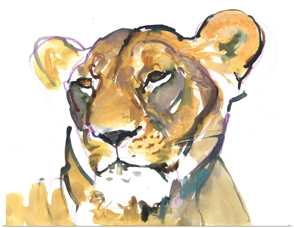 Contemporary artwork of a lioness close-up with some purple sketch-work around the outlines.