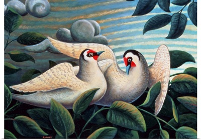 The Love Birds