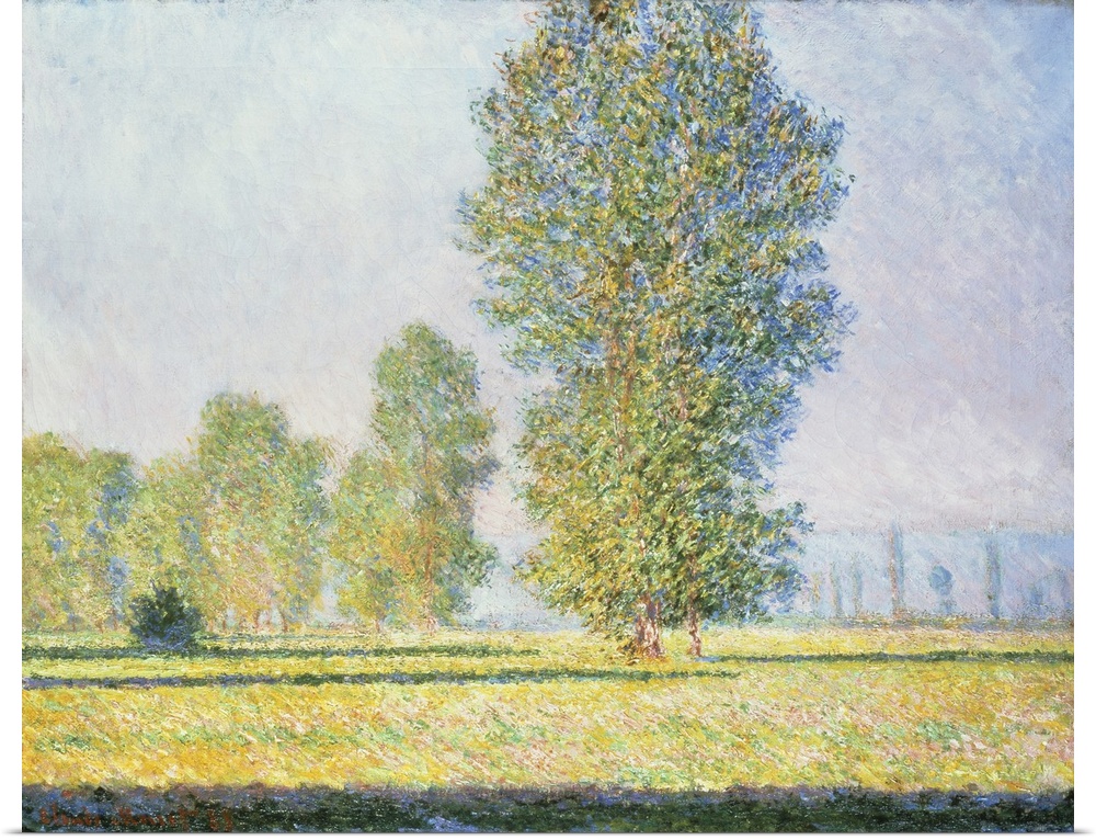The Meadow Of Limetz, 1888