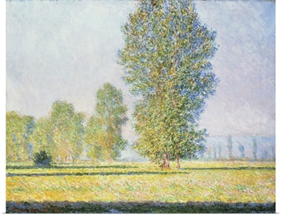 The Meadow Of Limetz, 1888