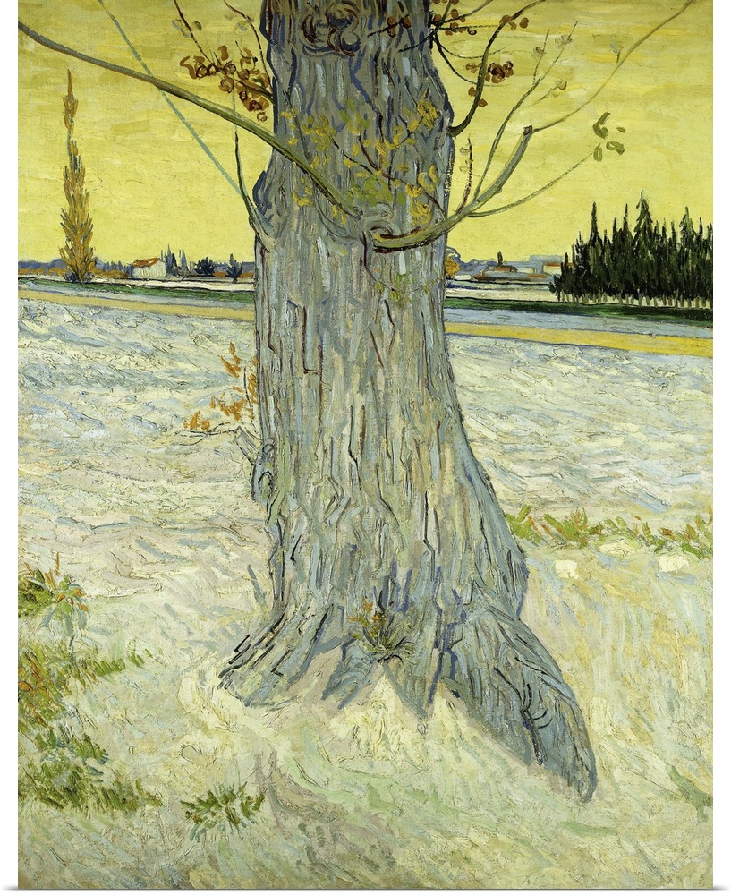 The Old Tree (Le Vieil If), 1888