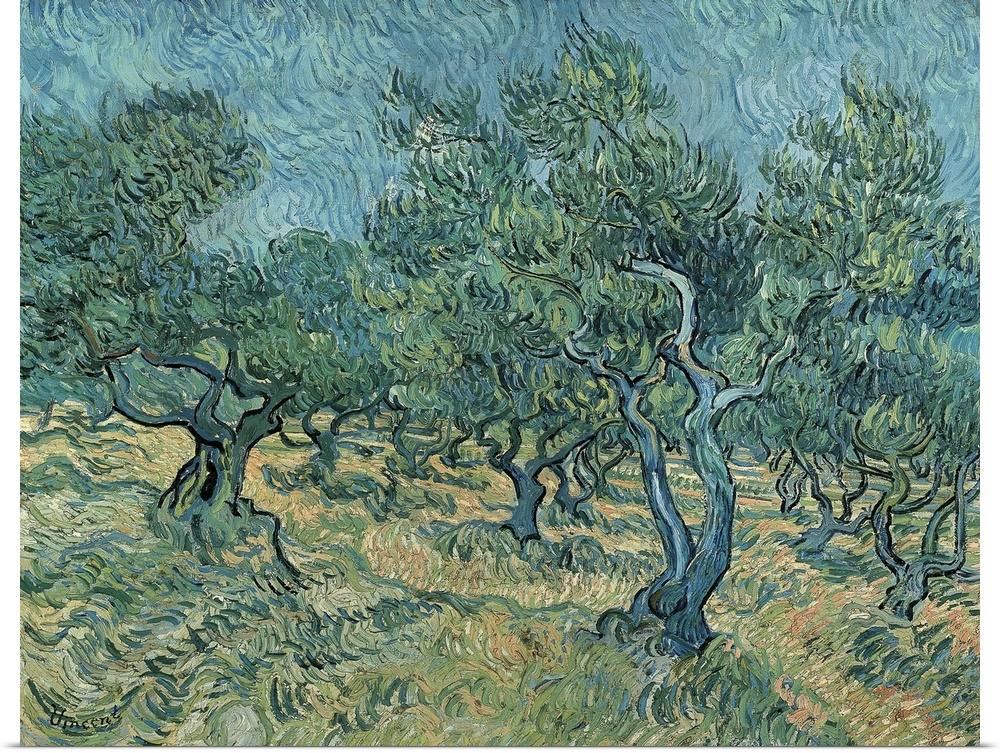 The Olive Grove, 1889