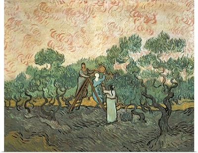 The Olive Pickers, Saint-Remy, 1889