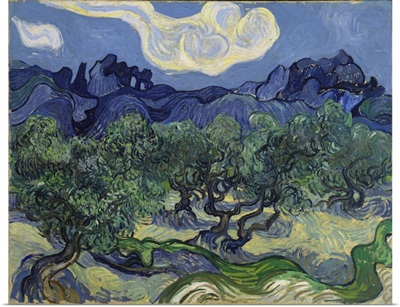The Olive Trees, 1889