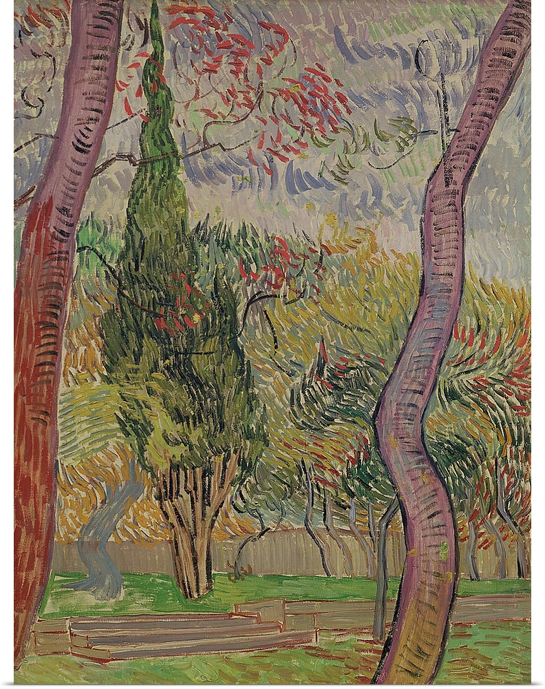 XIR166548 The Park at the Saint-Paul Hospital, 1889 (oil on canvas); by Gogh, Vincent van (1853-90); 65x49 cm; Private Col...