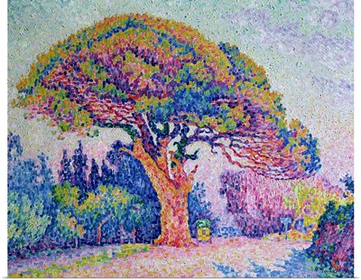 The Pine Tree at St. Tropez, 1909
