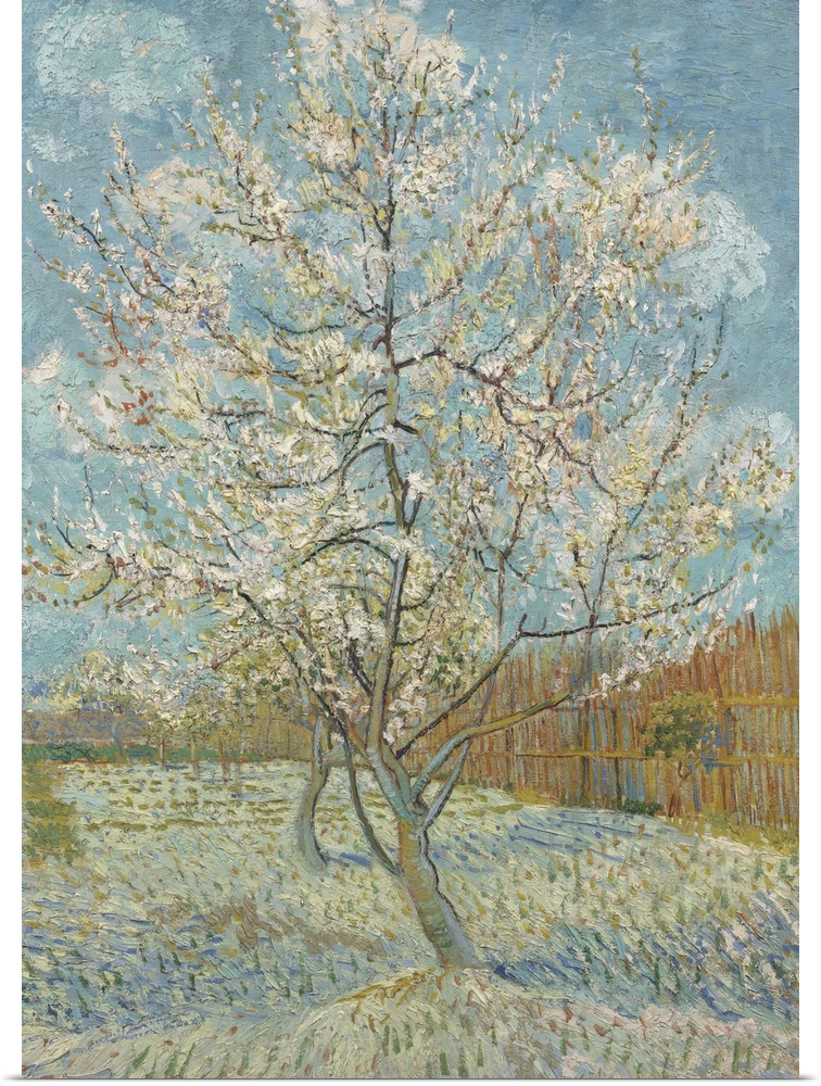 The Pink Peach Tree, 1888, oil on canvas.  By Vincent van Gogh (1853-90).